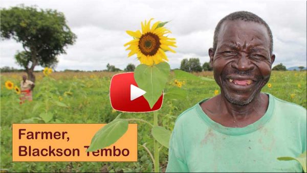 Farmer Blackson Tembo