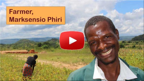 Farmer, Marksensio Phiri