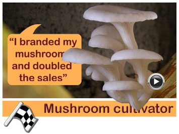 030 Mushroom cultivator, Bernadette