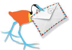 Animated Mail Bird