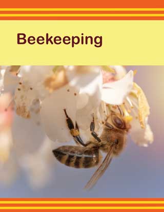 Basic Beekeeping manual