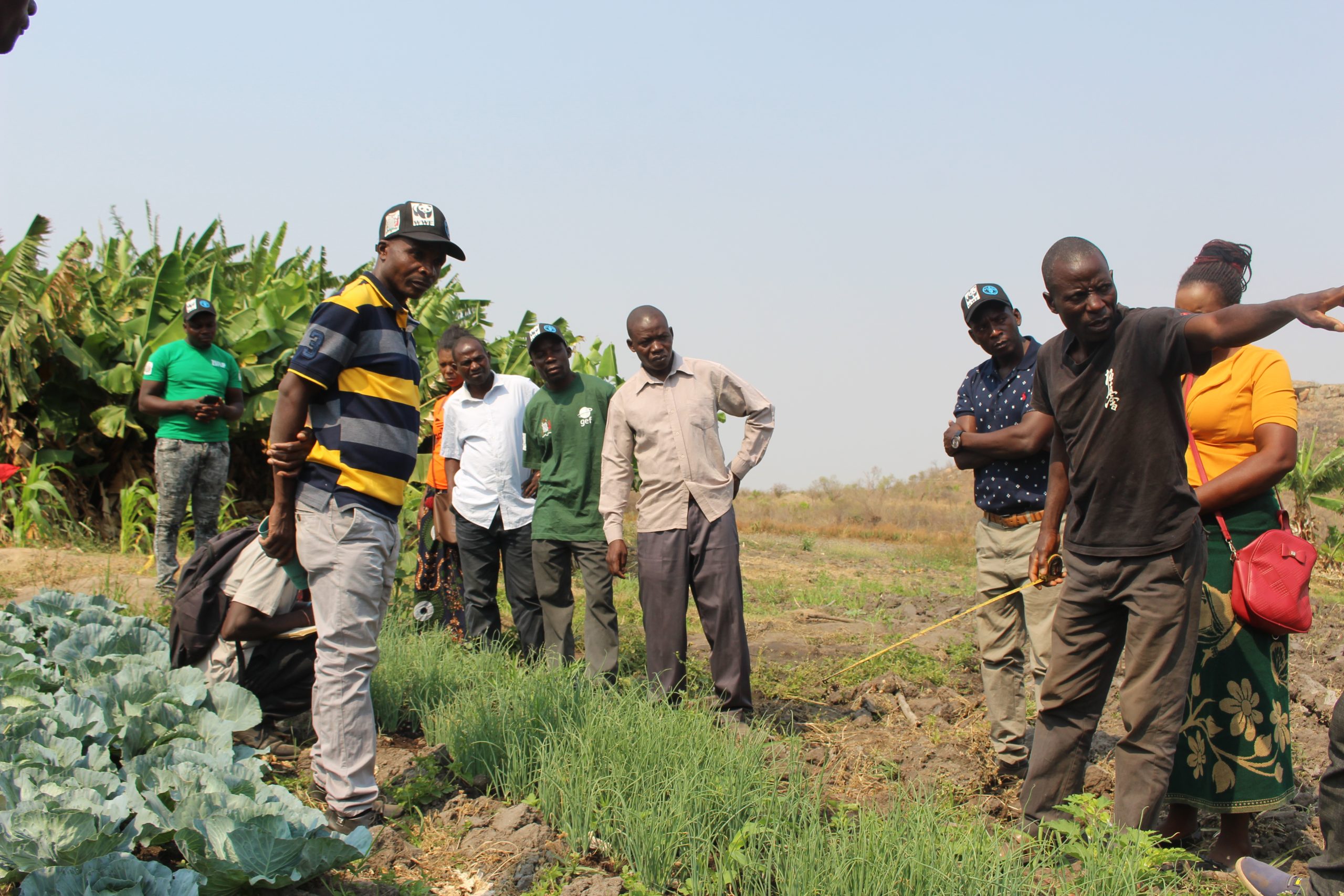 Farmers visiting Emmanuel Mumba