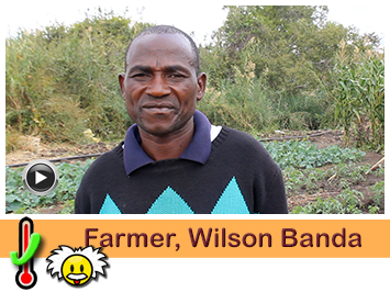 Farmer, Wilson Banda