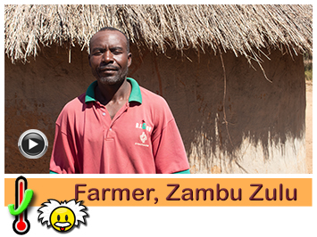 Farmer, Zambu Zulu