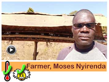 Farmer and Beekeeper, Moses Nyirenda