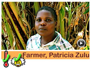 Vegetable Gardener and Farmer, Patricia Zulu