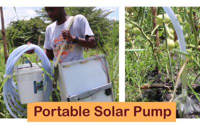 Portable solar pump for small-scale farmers