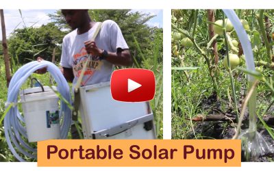 Portable solar pump for small-scale farmers