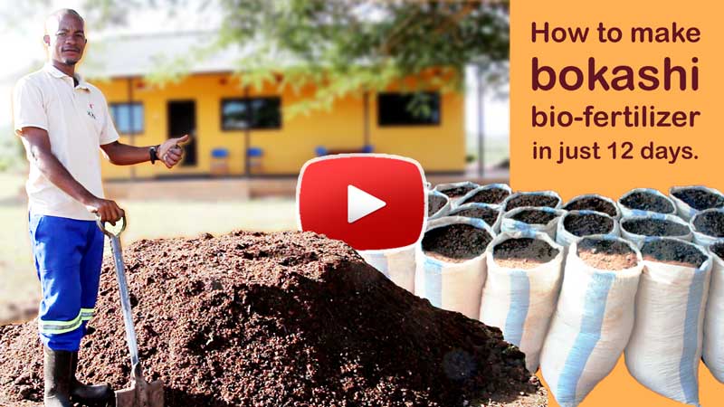 Video making and using Bokashi bio-fertilizer