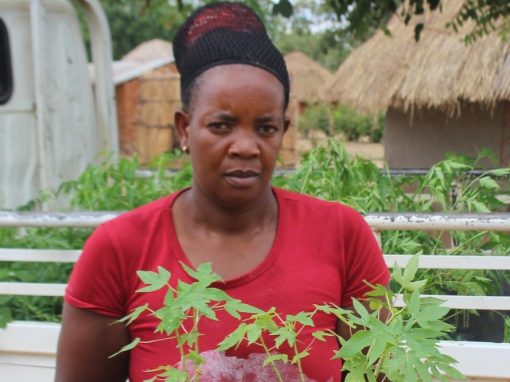 Farmer Gezile Mwanza